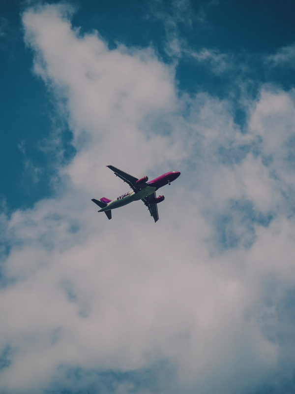 daily sale coupon code