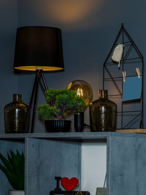 daily sale coupon code